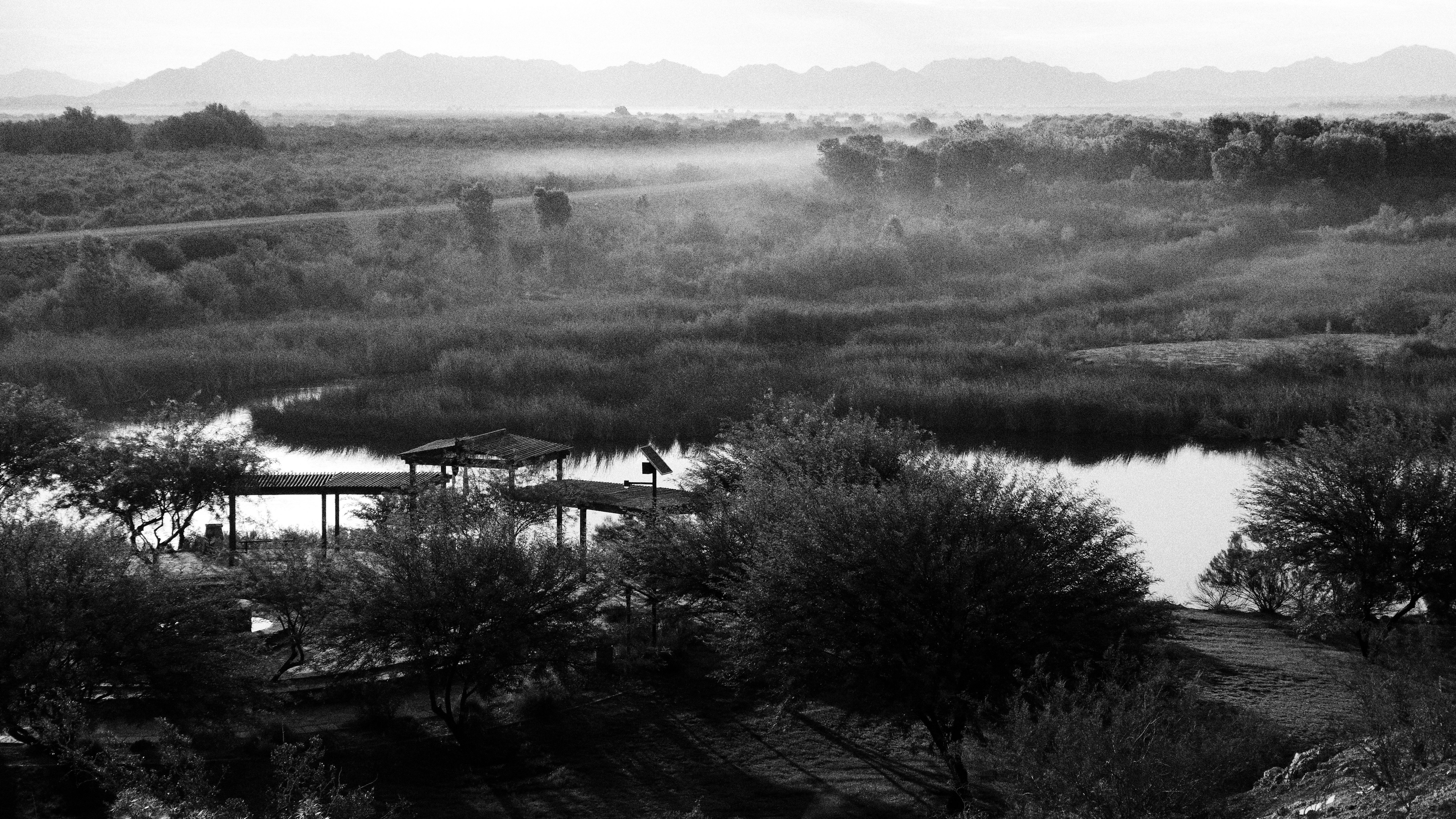 Colorado Mist JPG.jpg