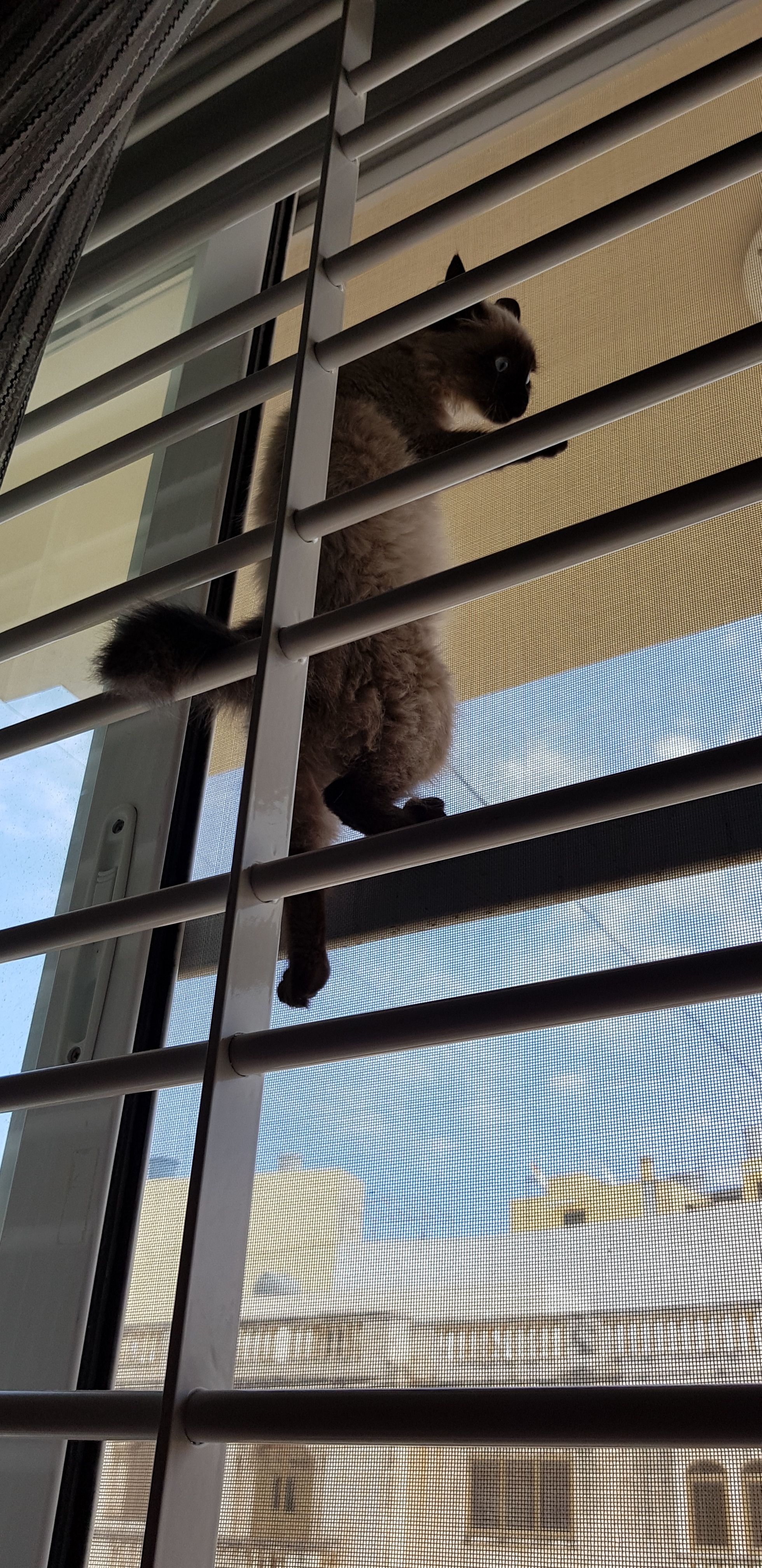20180422_132947.jpg