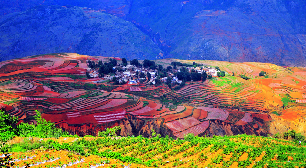 dongchuan-red-soil.jpg