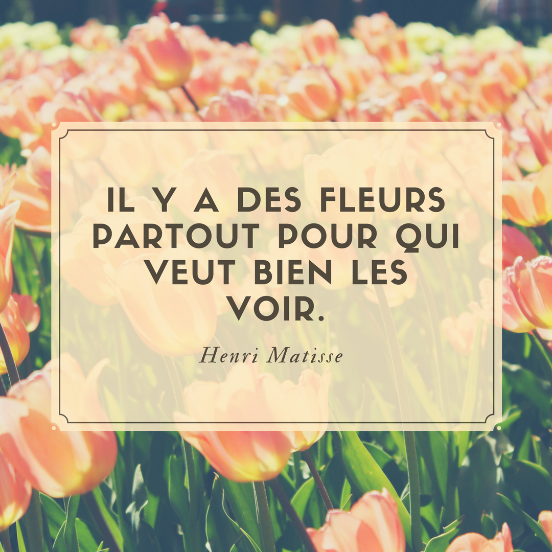 Citation Du Jour Steemkr