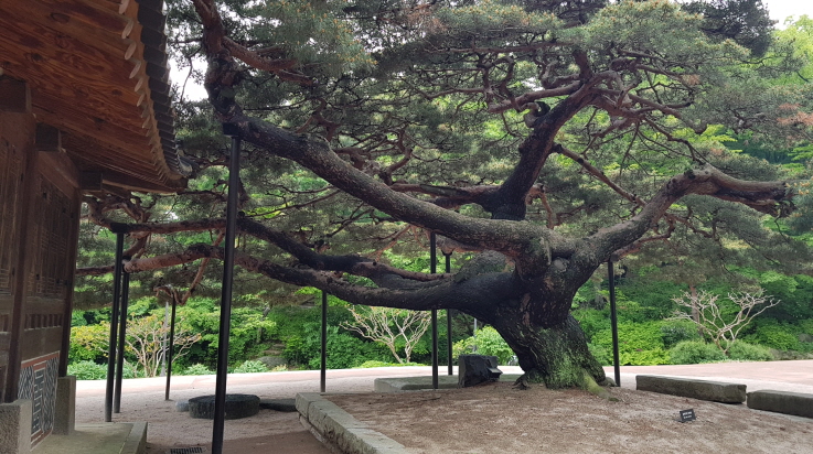 크기변환_KakaoTalk_20180517_093207343.jpg