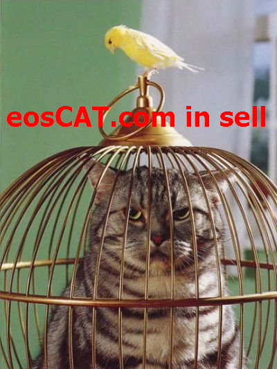 eosCAT.com in sell.jpg