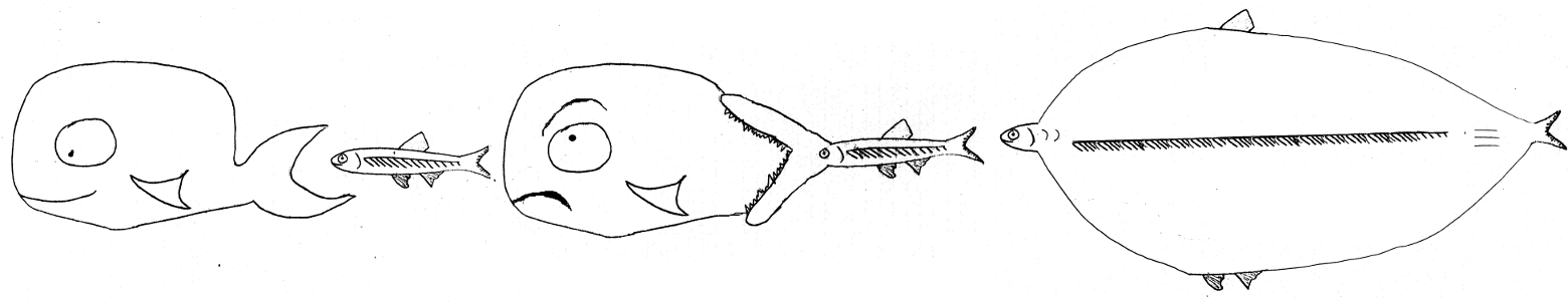 minnow-whale-3.png