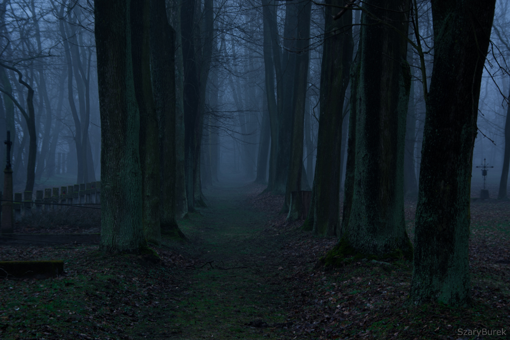 DSC_0265.jpg