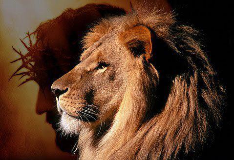 lion-of-judah-1.jpg
