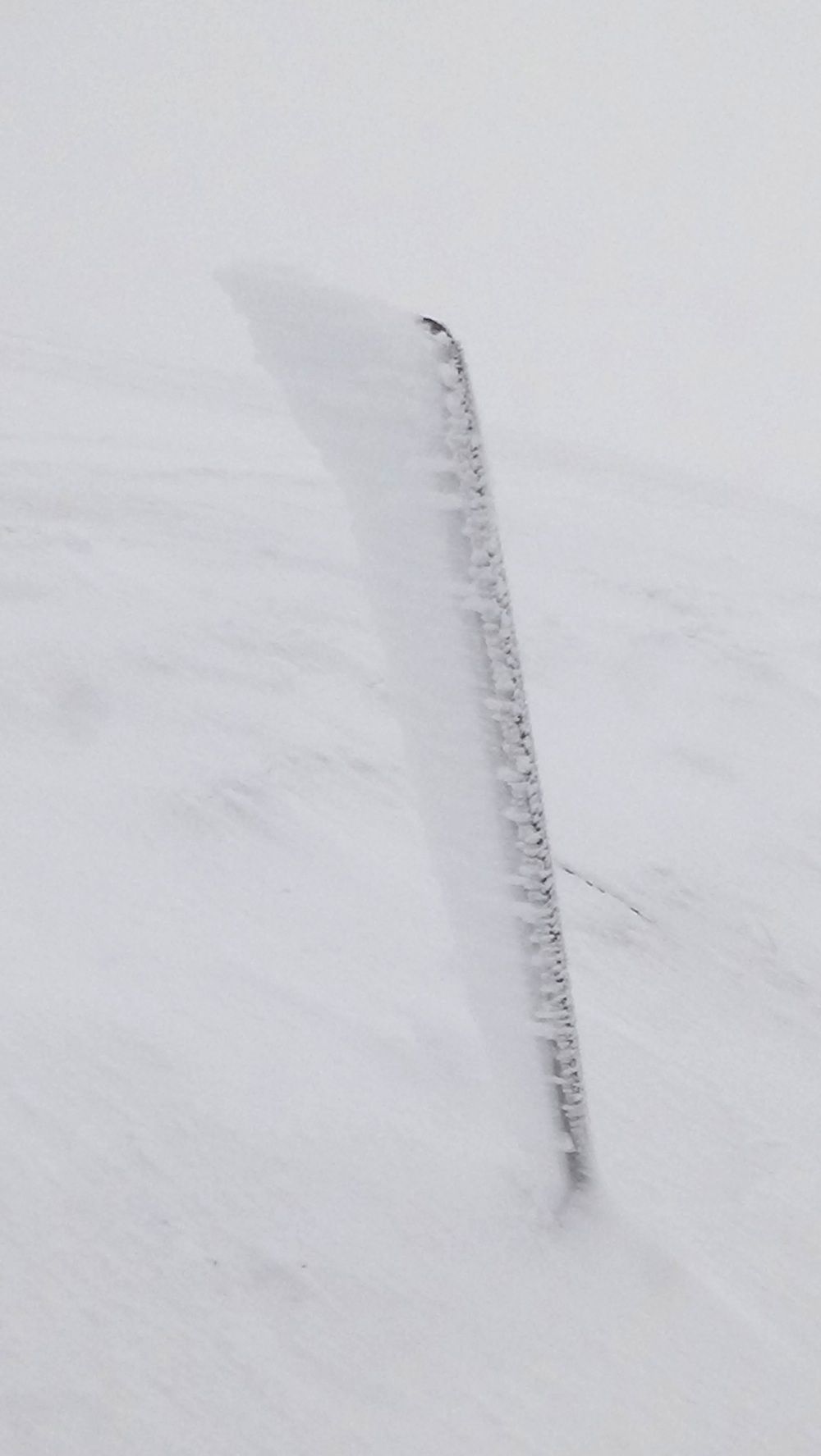 Snowy fence post.jpg