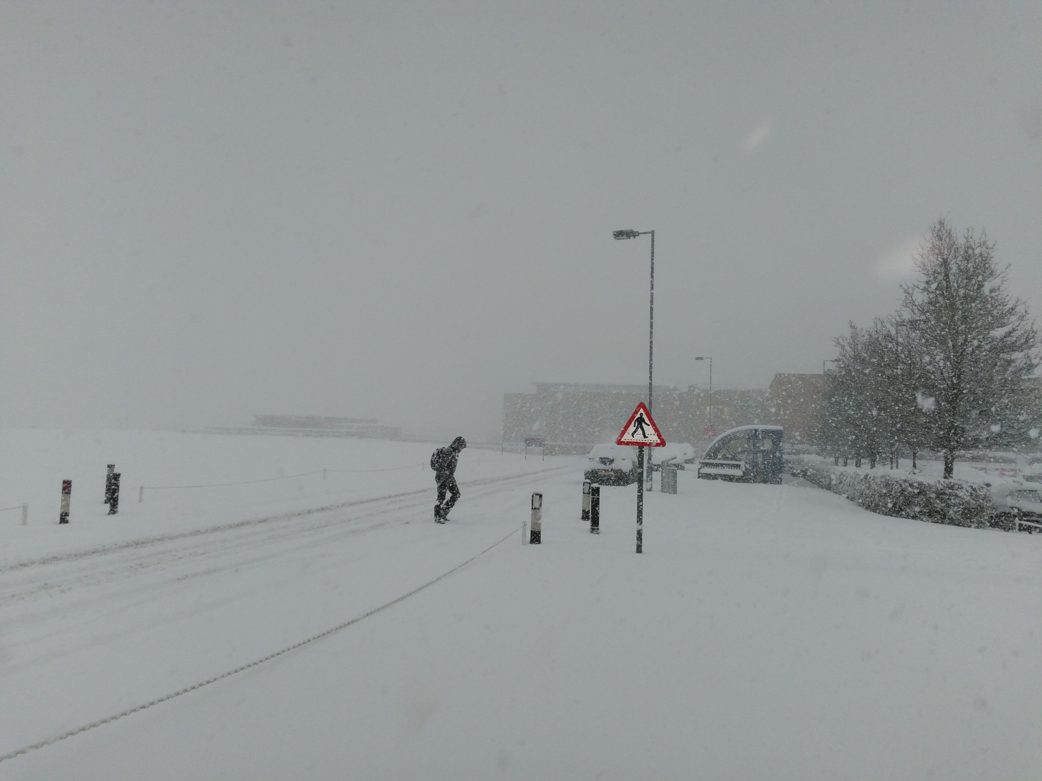 snow.jpg