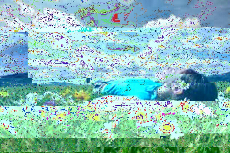 20171004163619_glitch.jpg