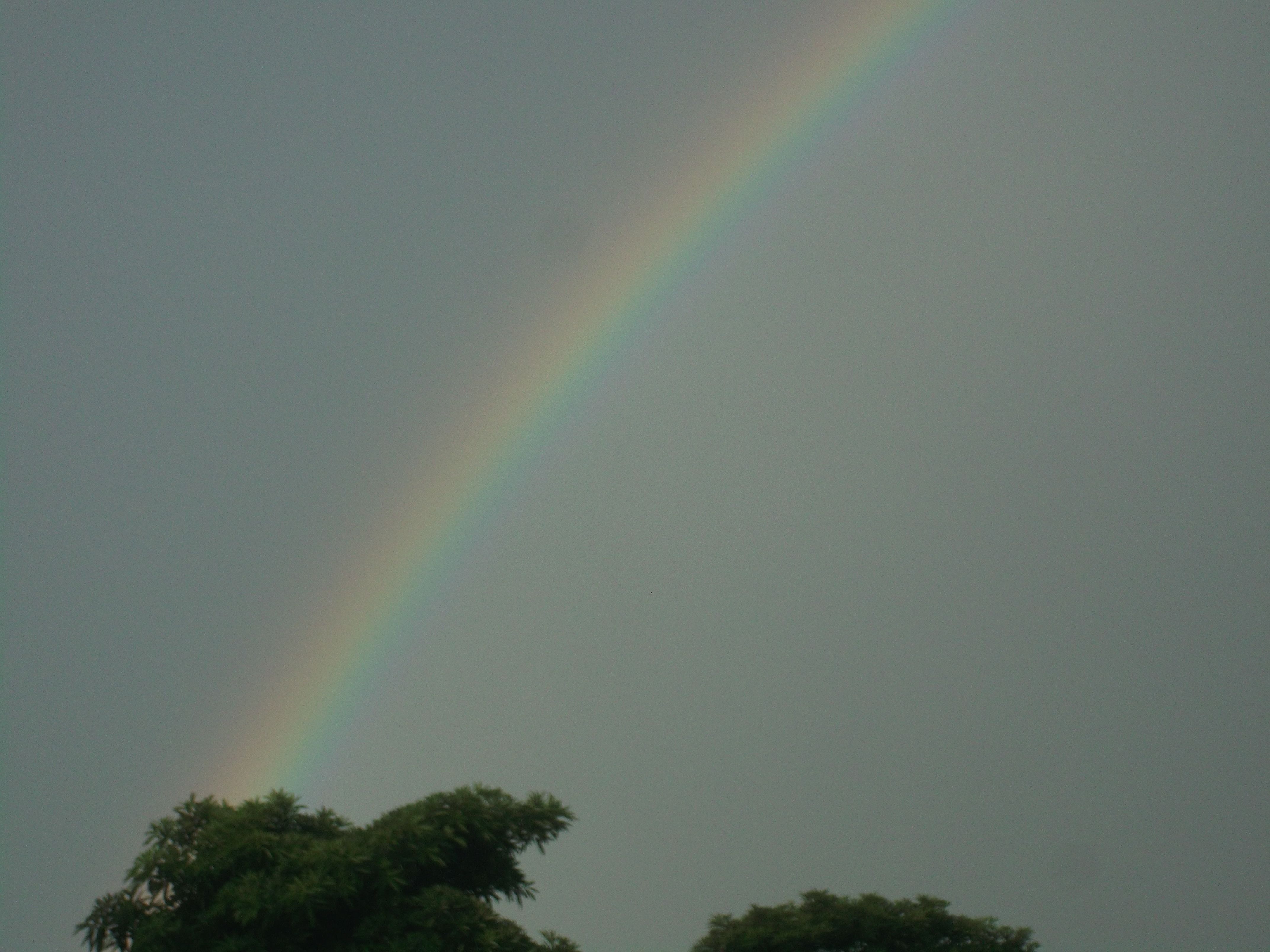 DSCF3761.JPG