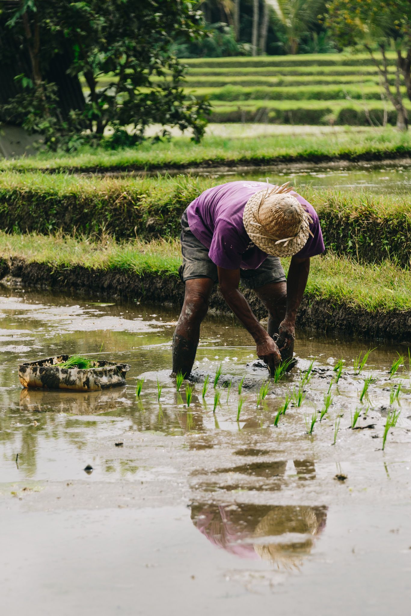 UBUD (5 of 15).jpg