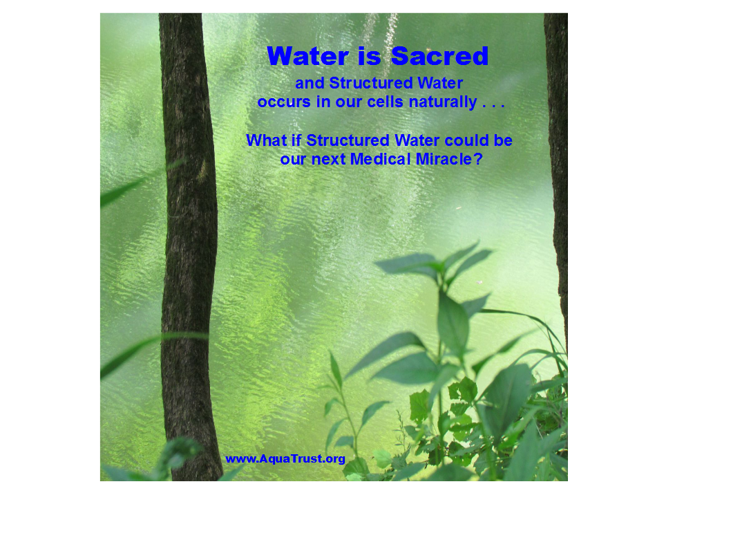 20160414 Water is Sacred meme.png