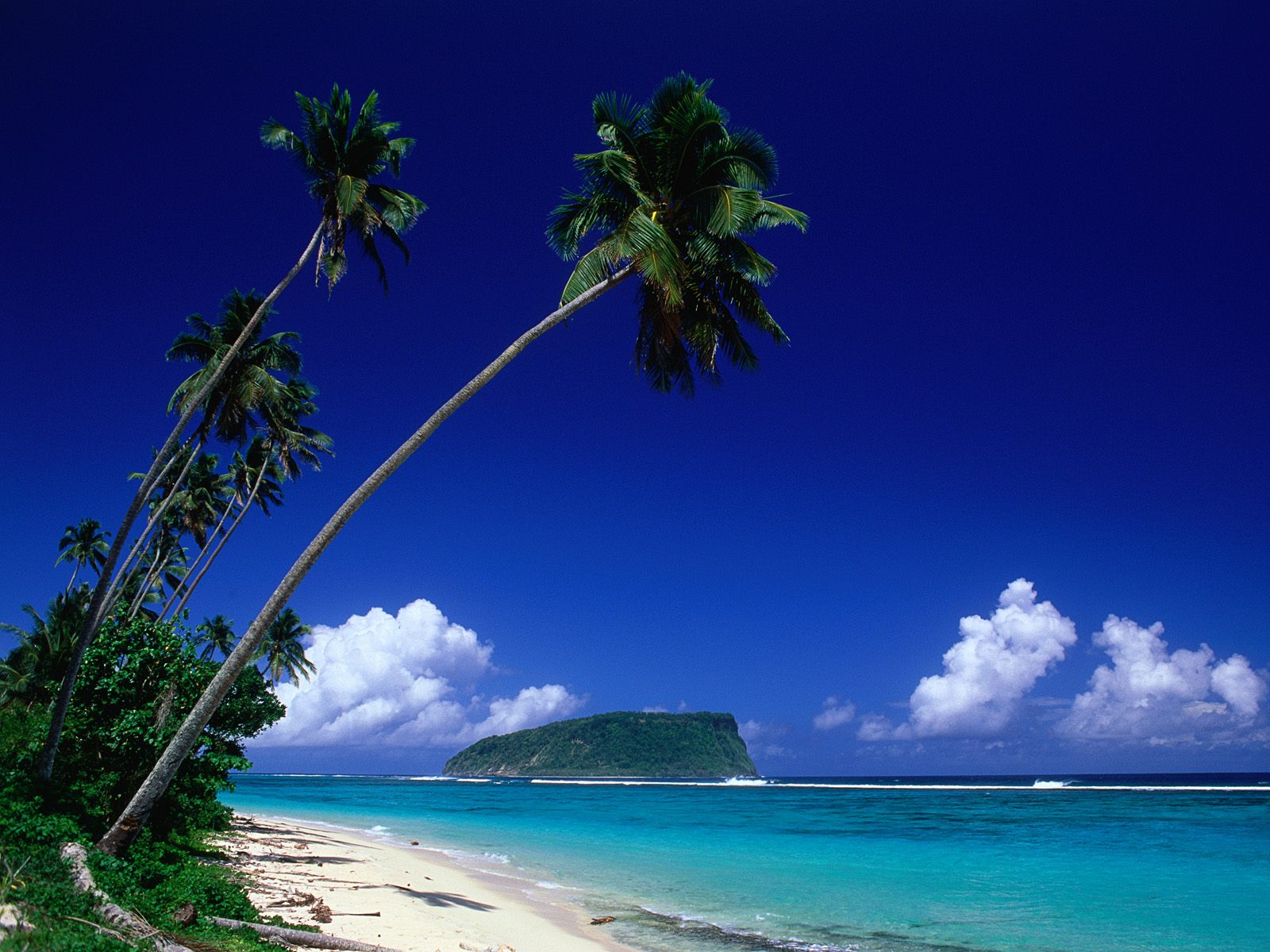 Samoa 3.jpg