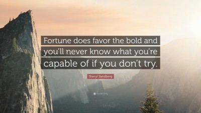 733045-Sheryl-Sandberg-Quote-Fortune-does-favor-the-bold-and-you-ll-never.jpg