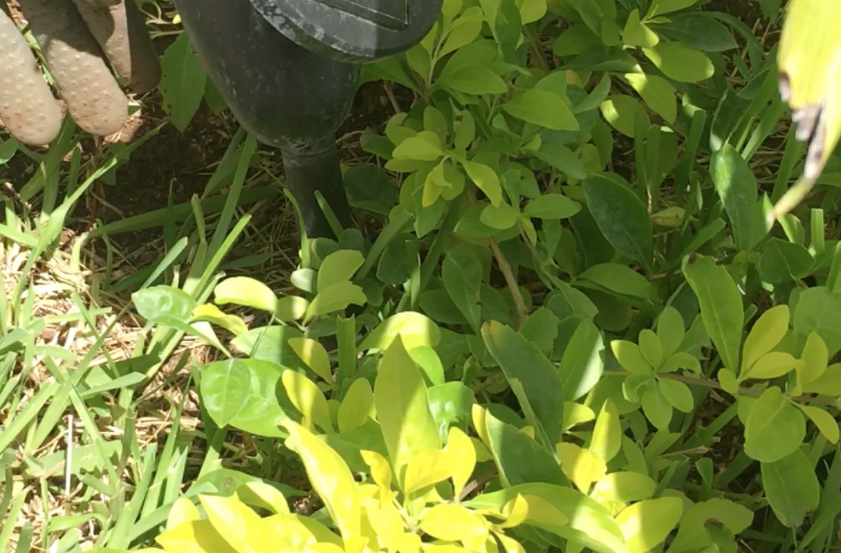 Captura de pantalla 2017-10-03 a la(s) 22.13.33.png