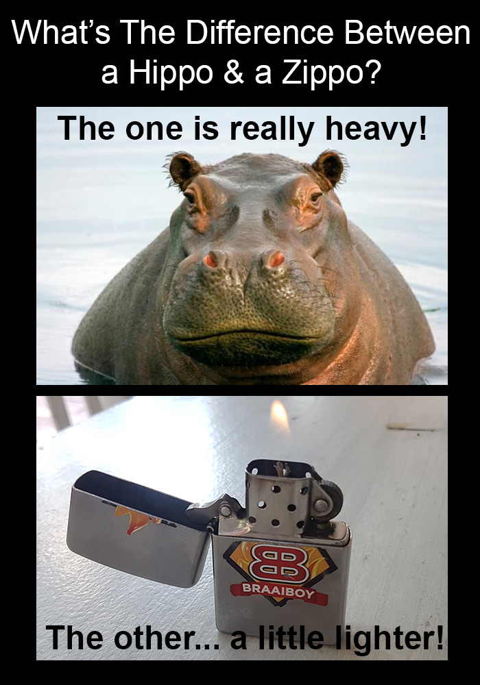Hippo-Zippo-Meme.jpg