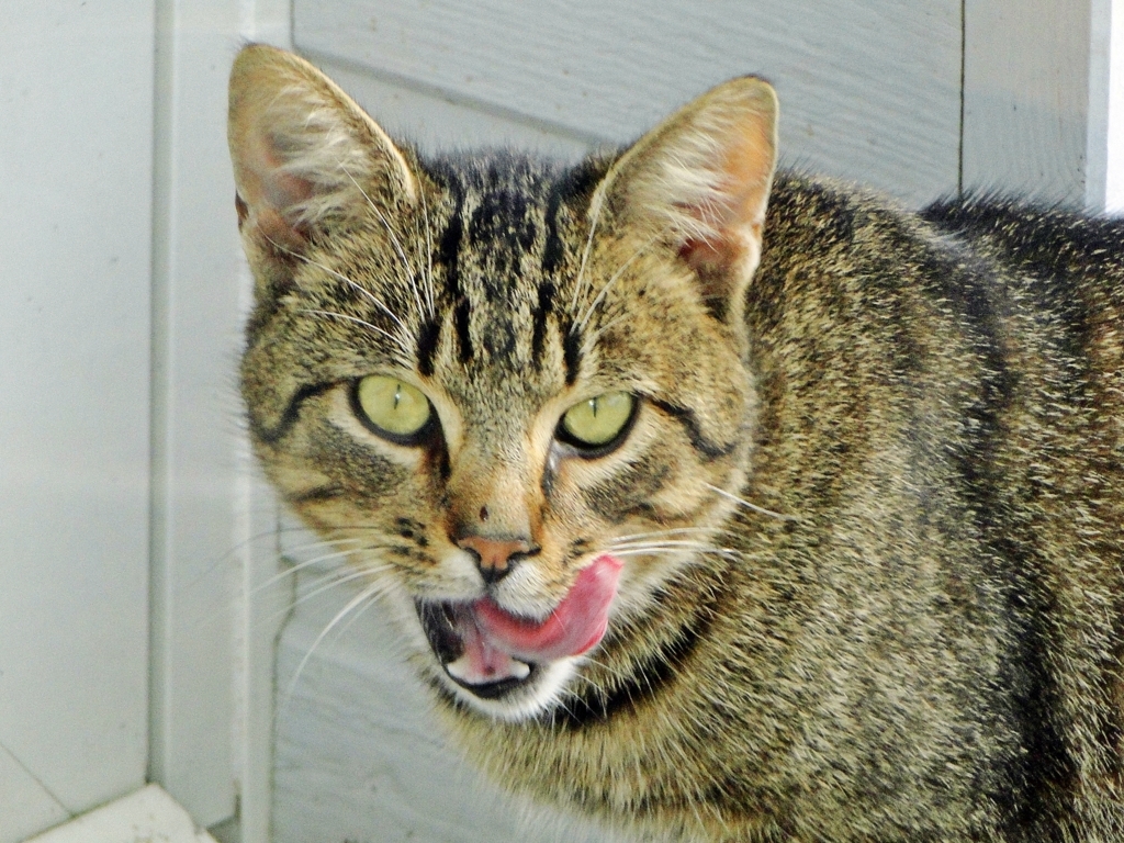 dsc03939_5090069666_o (FILEminimizer).jpg