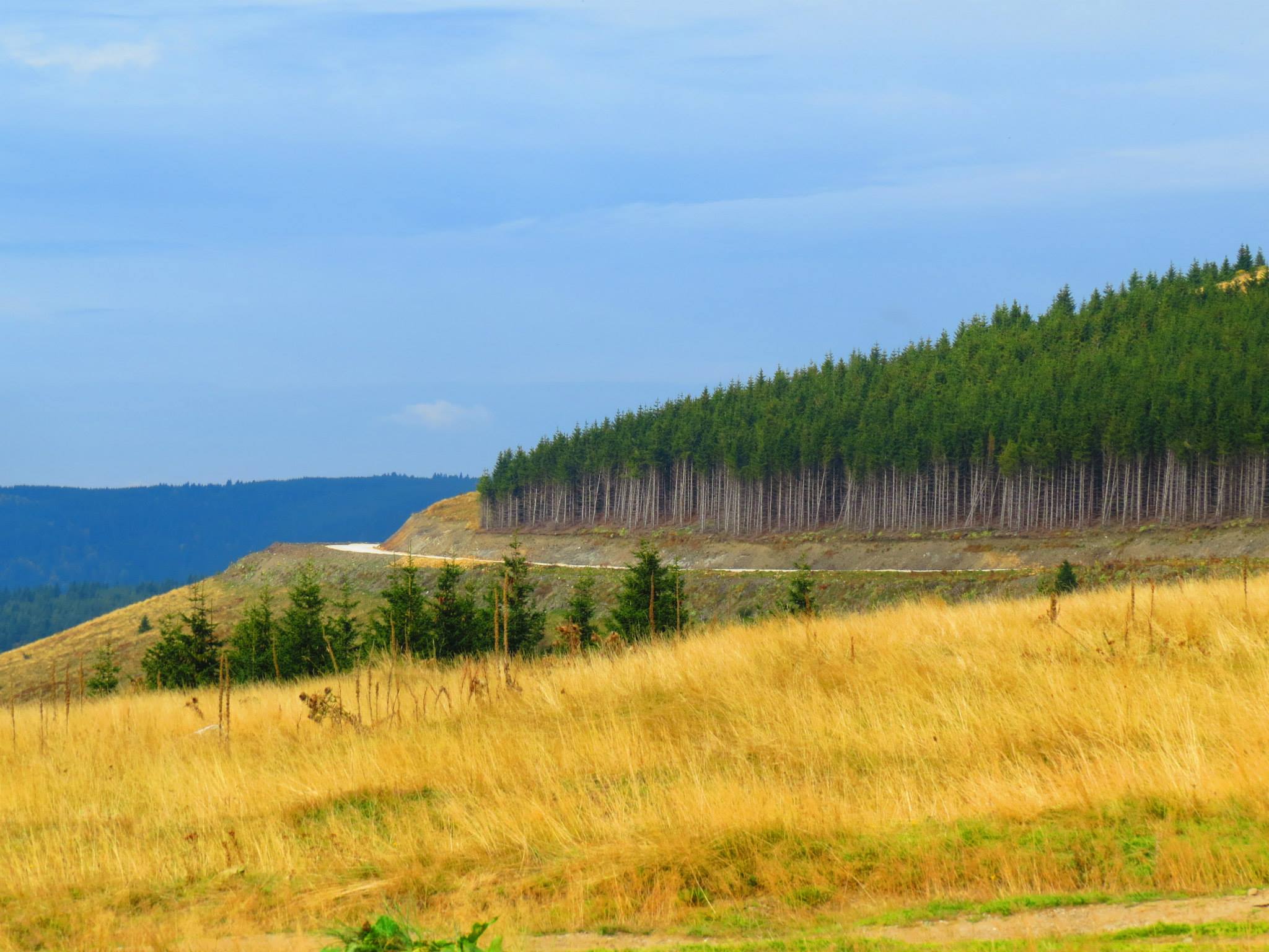 Mountain Golija