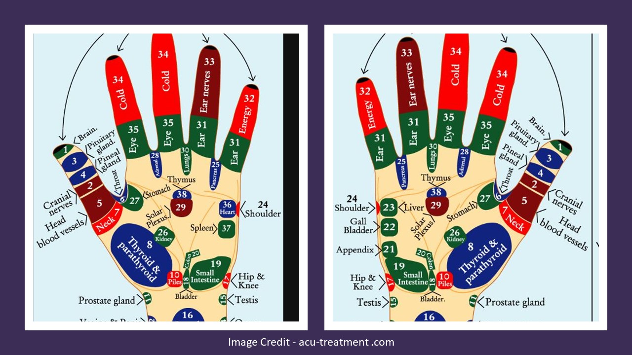 Hand acupuncture points.jpg