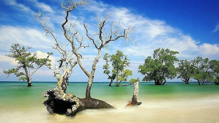 pantai blang ulam.jpg