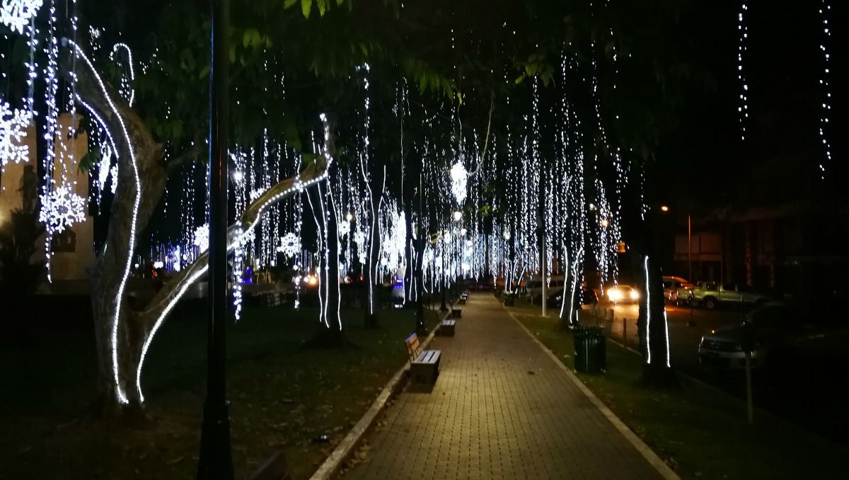 18+ Panama City Christmas Lights