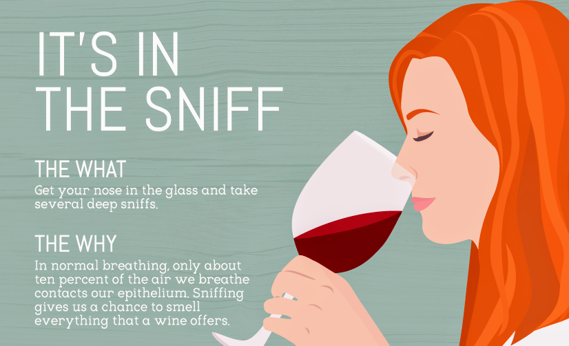 Sniff Wine LNL.png