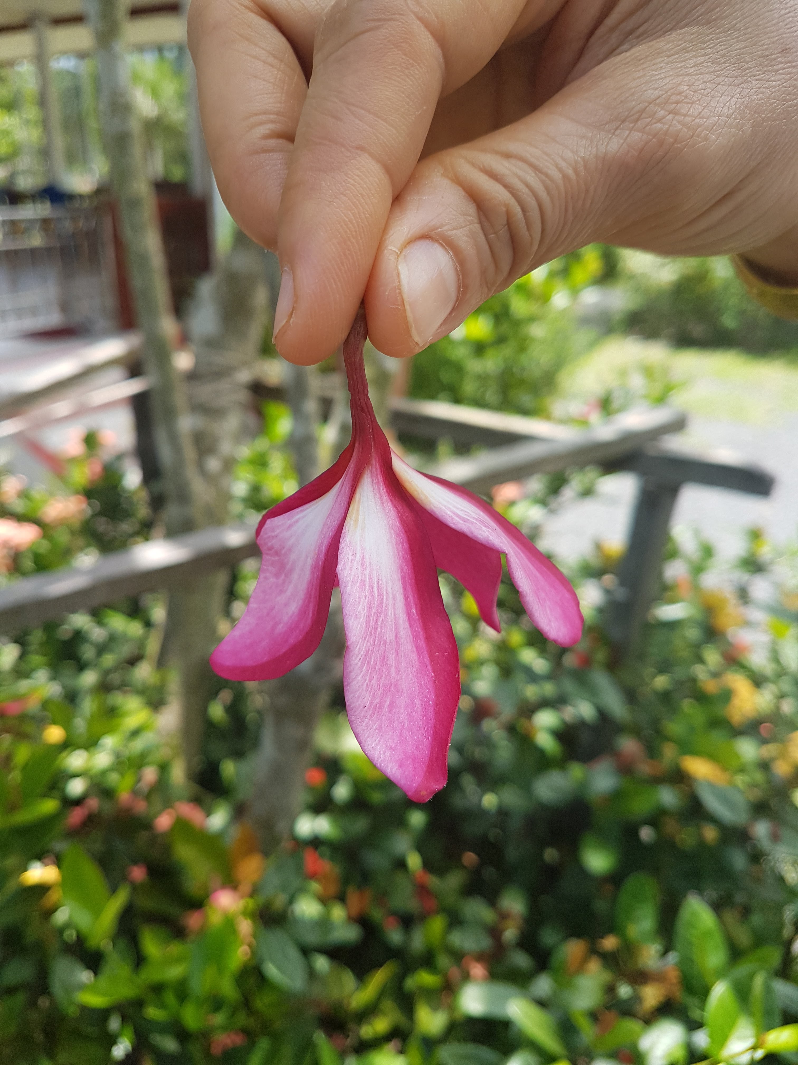 20180516_124313.jpg