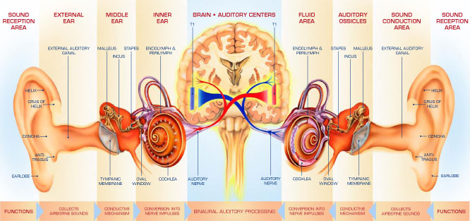 binaural-2.png