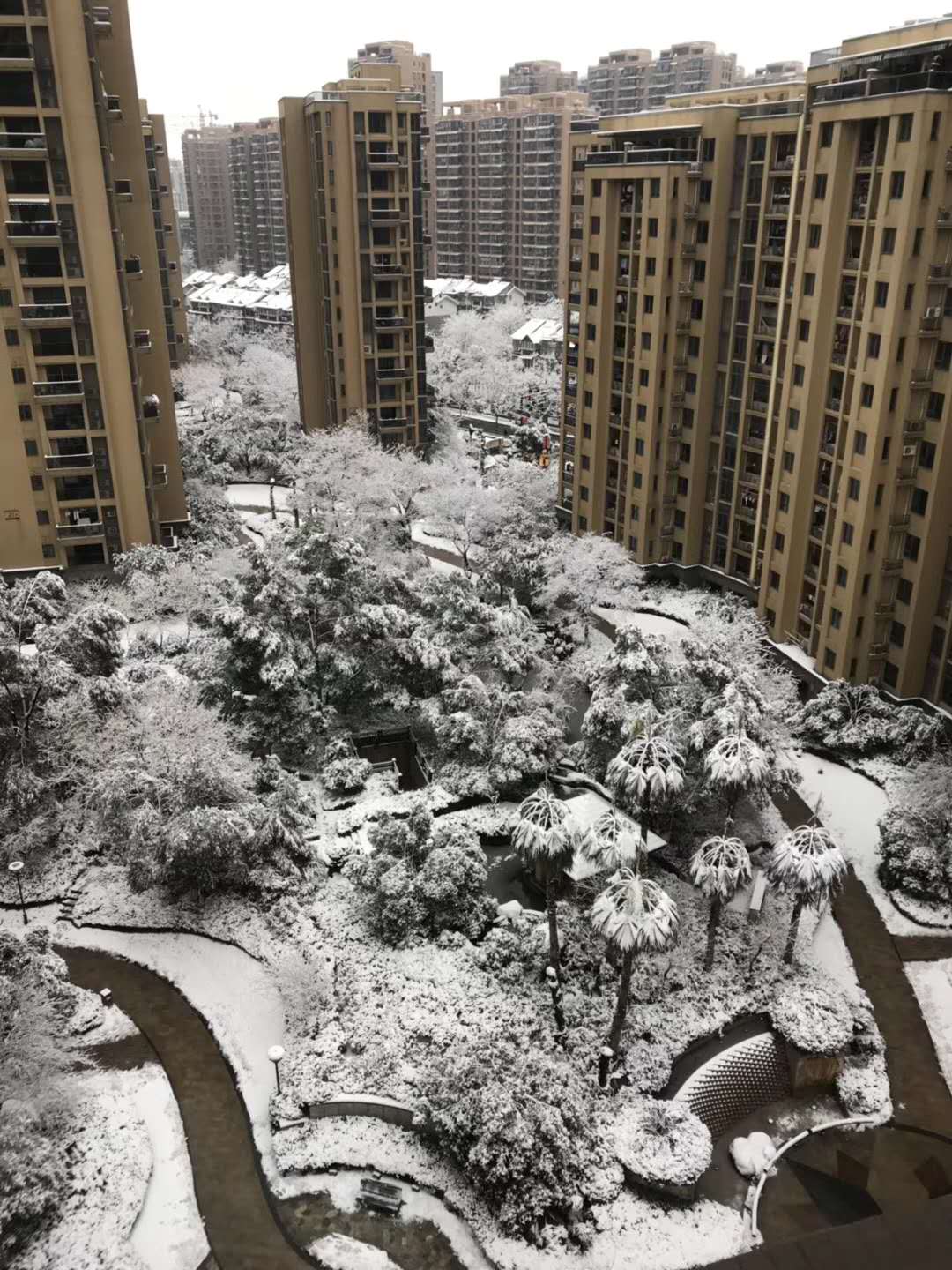 杭州雪.jpg