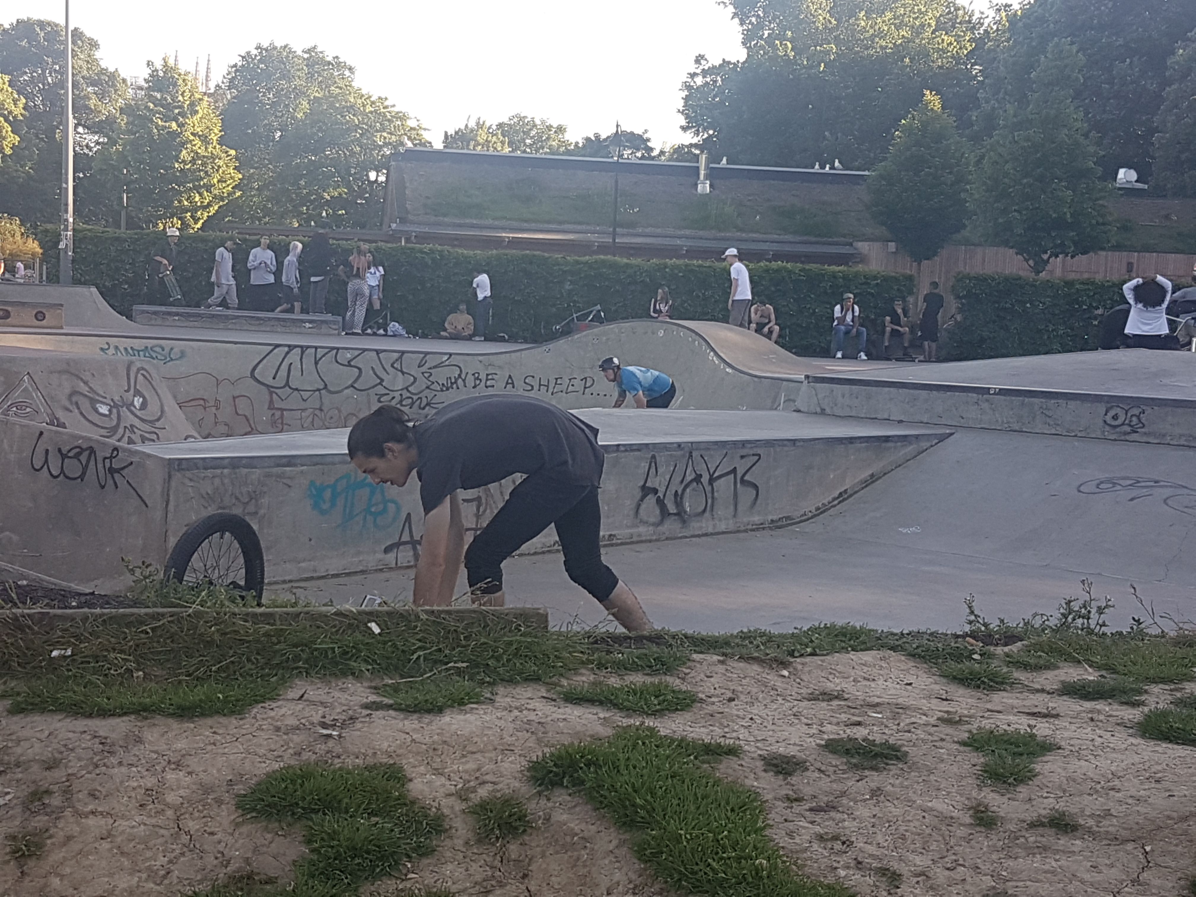 Yo,Skaterboy! It always amazes me!!!