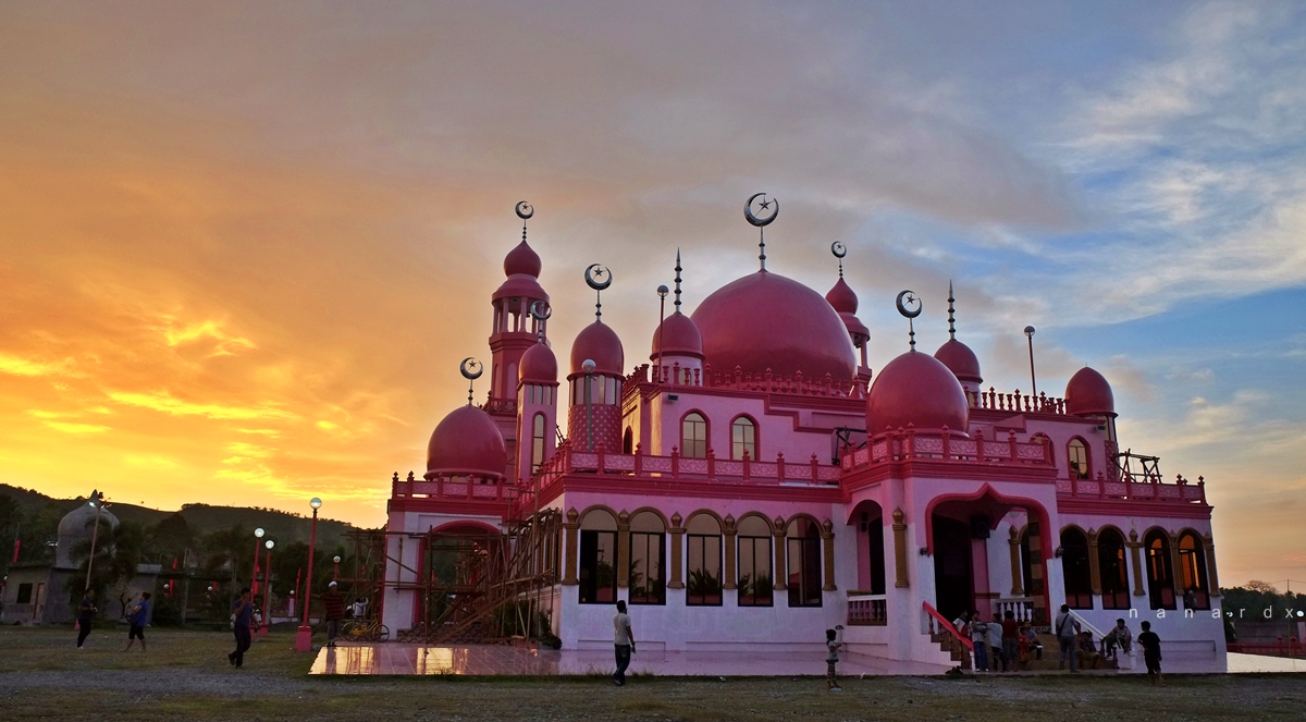 pink mosque.JPG