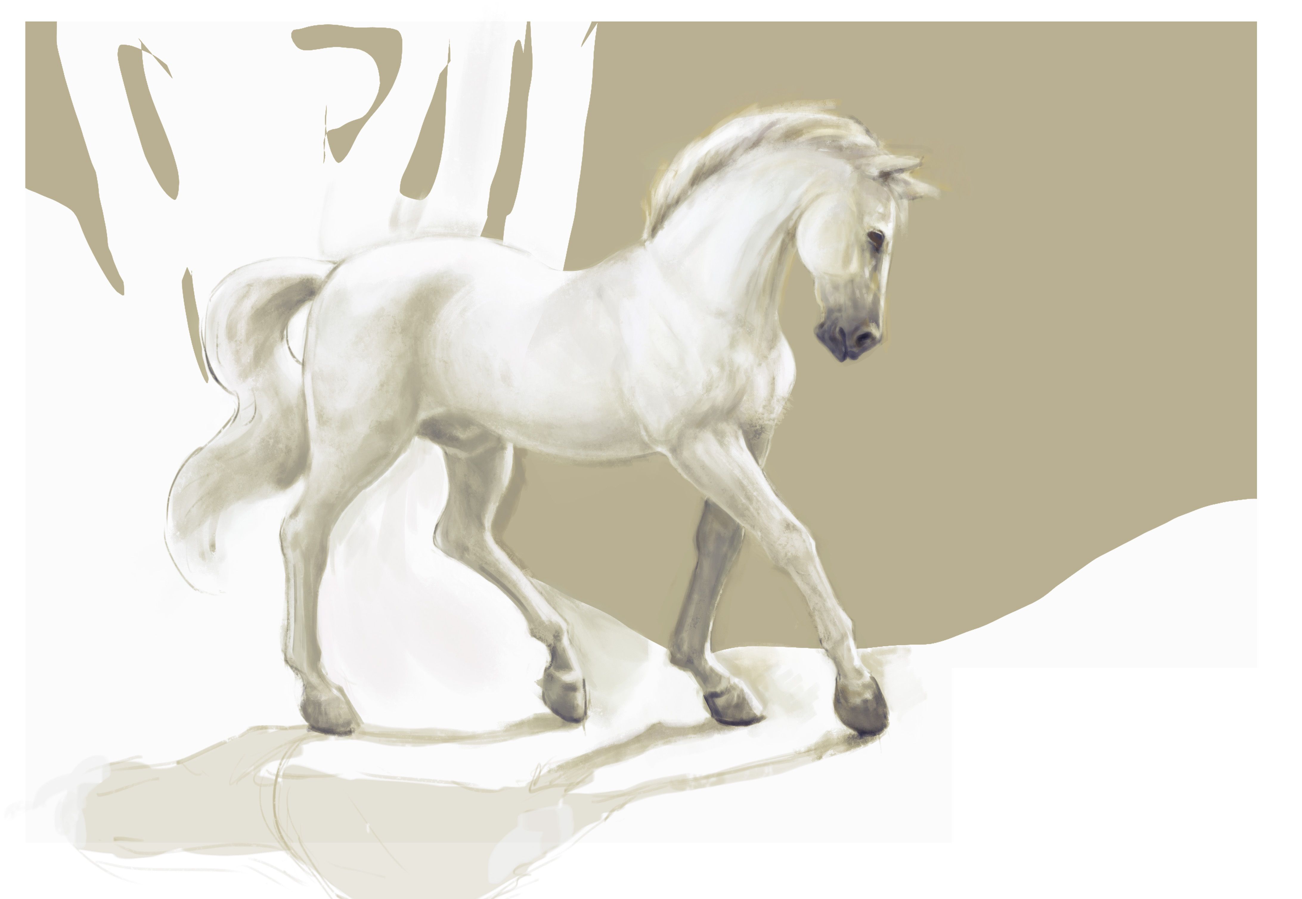 160728 - white horse.jpg