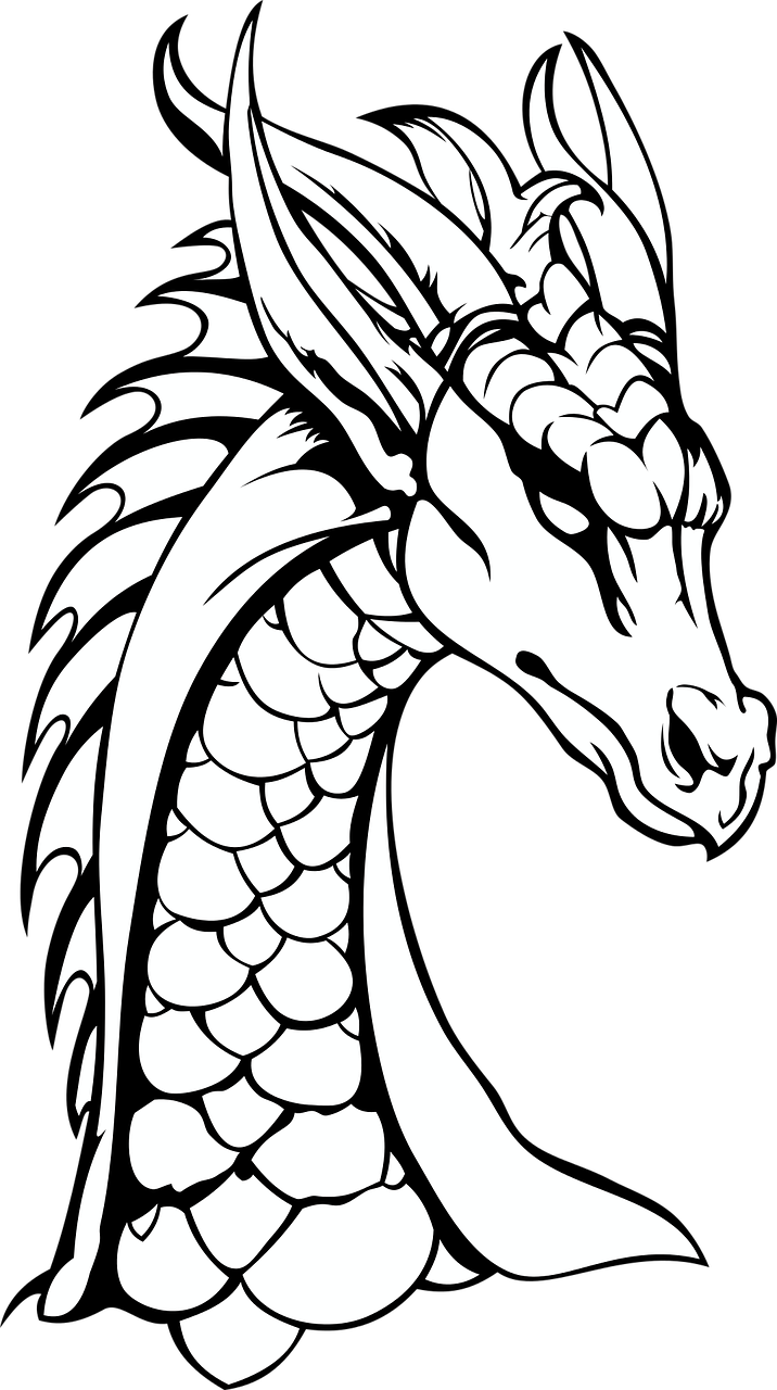 dragon-2726116_1280.png
