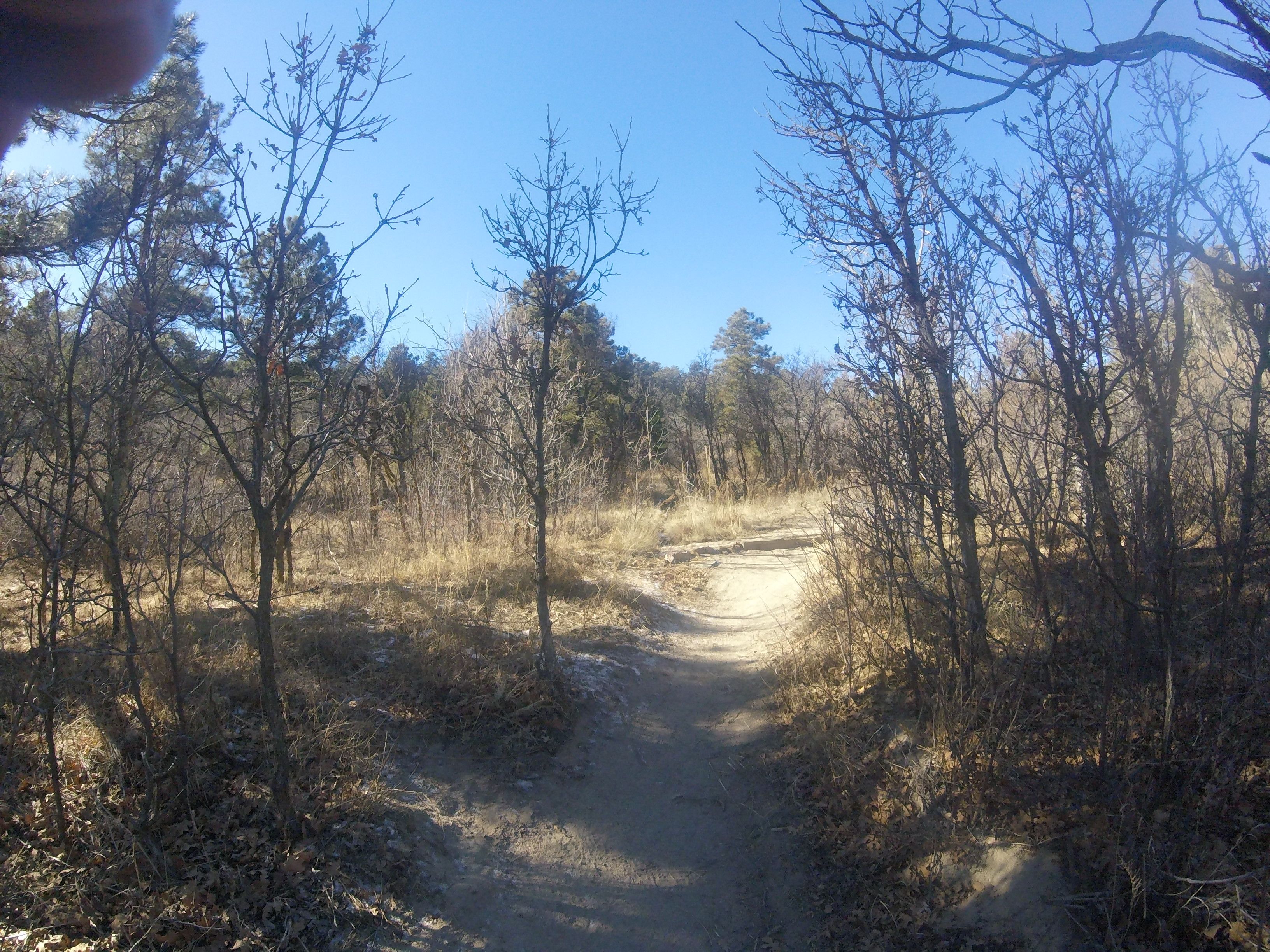 G0020208_1516228881988_high.JPG