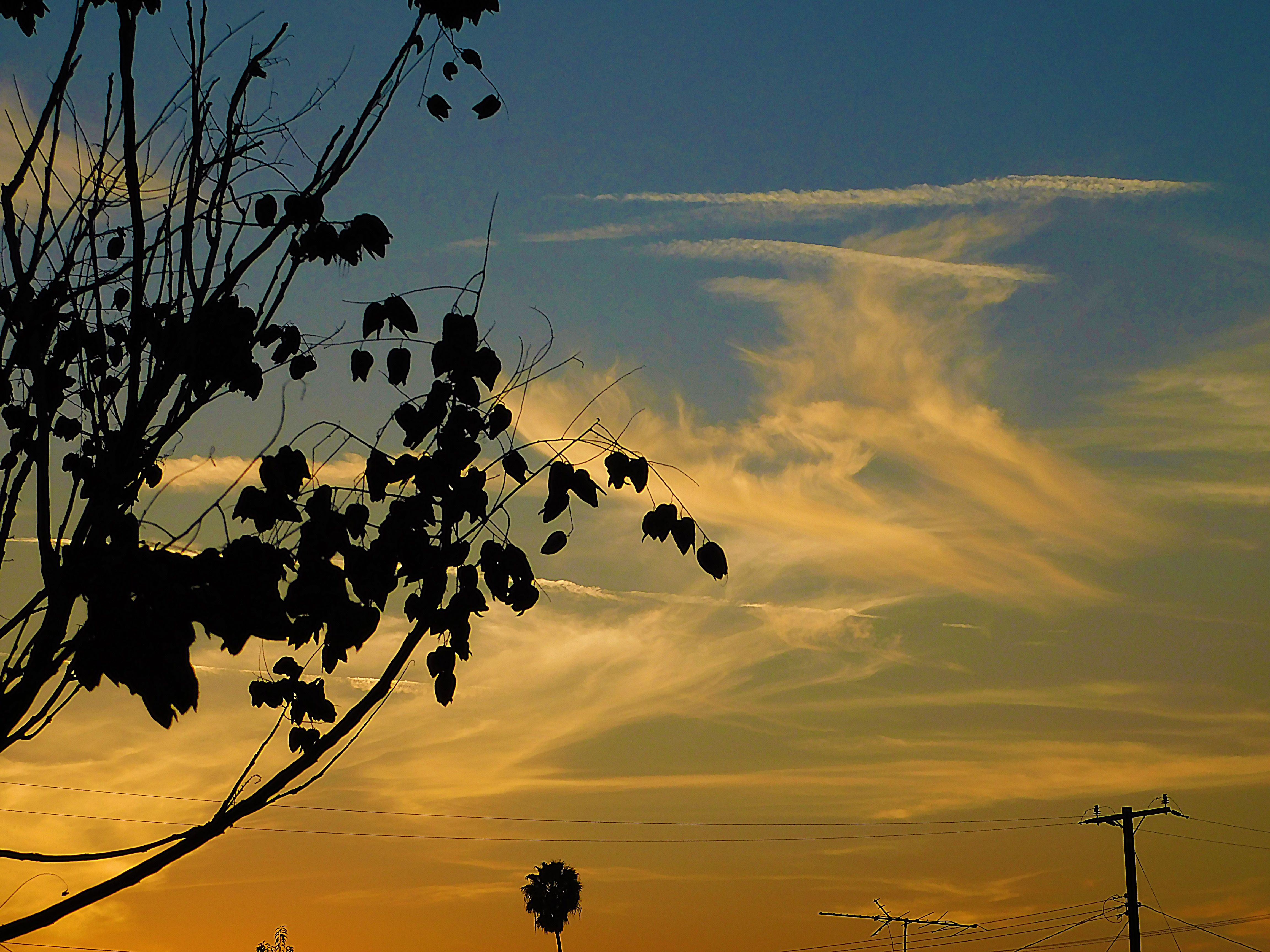 sunset, nature, photography by jeronimo rubio, all rights reserved, 2018 (10).JPG