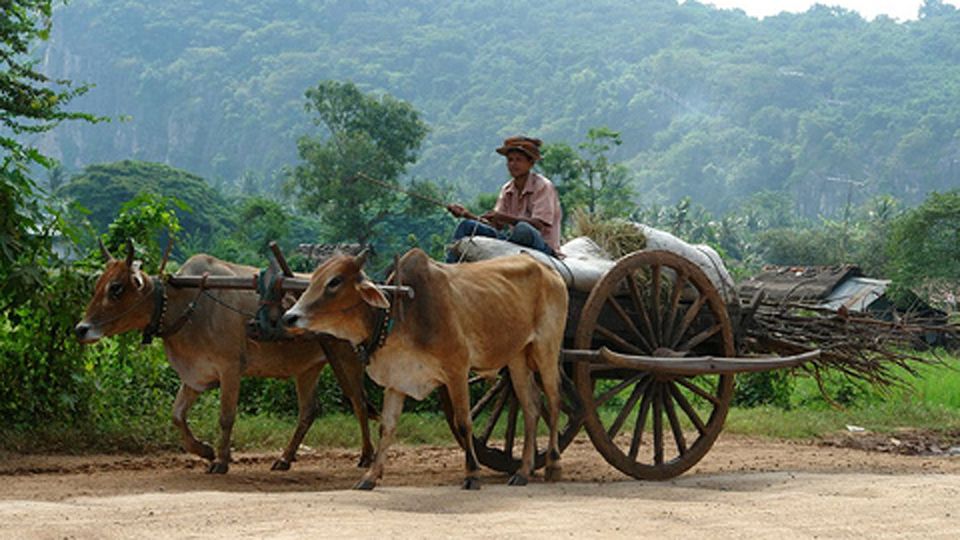 KS oxcart1.jpg