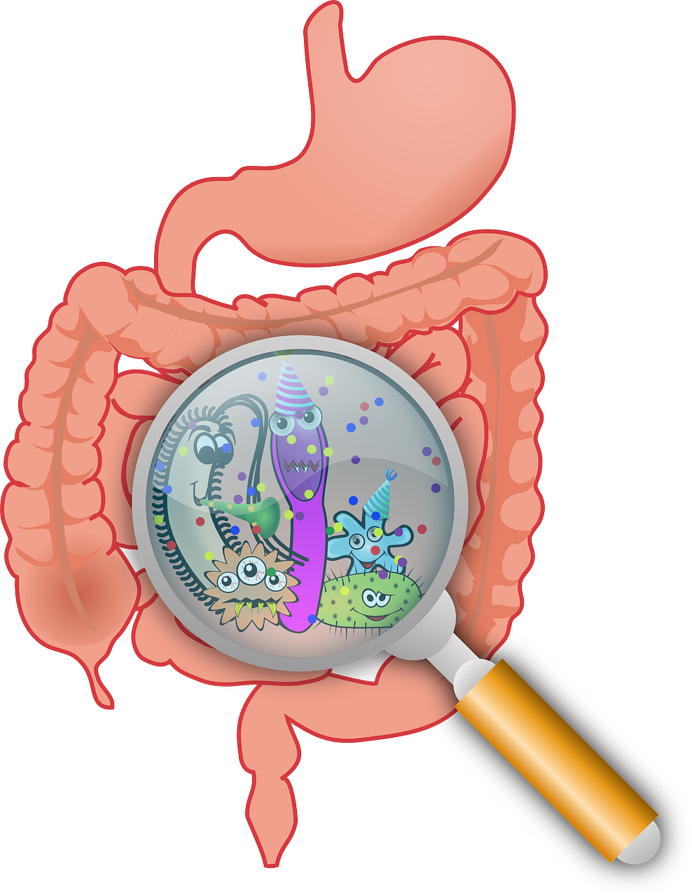 gut microbiome.png