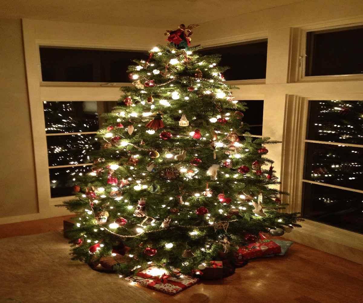 Large-Christmas-Tree-Lights-Outdoor.jpg