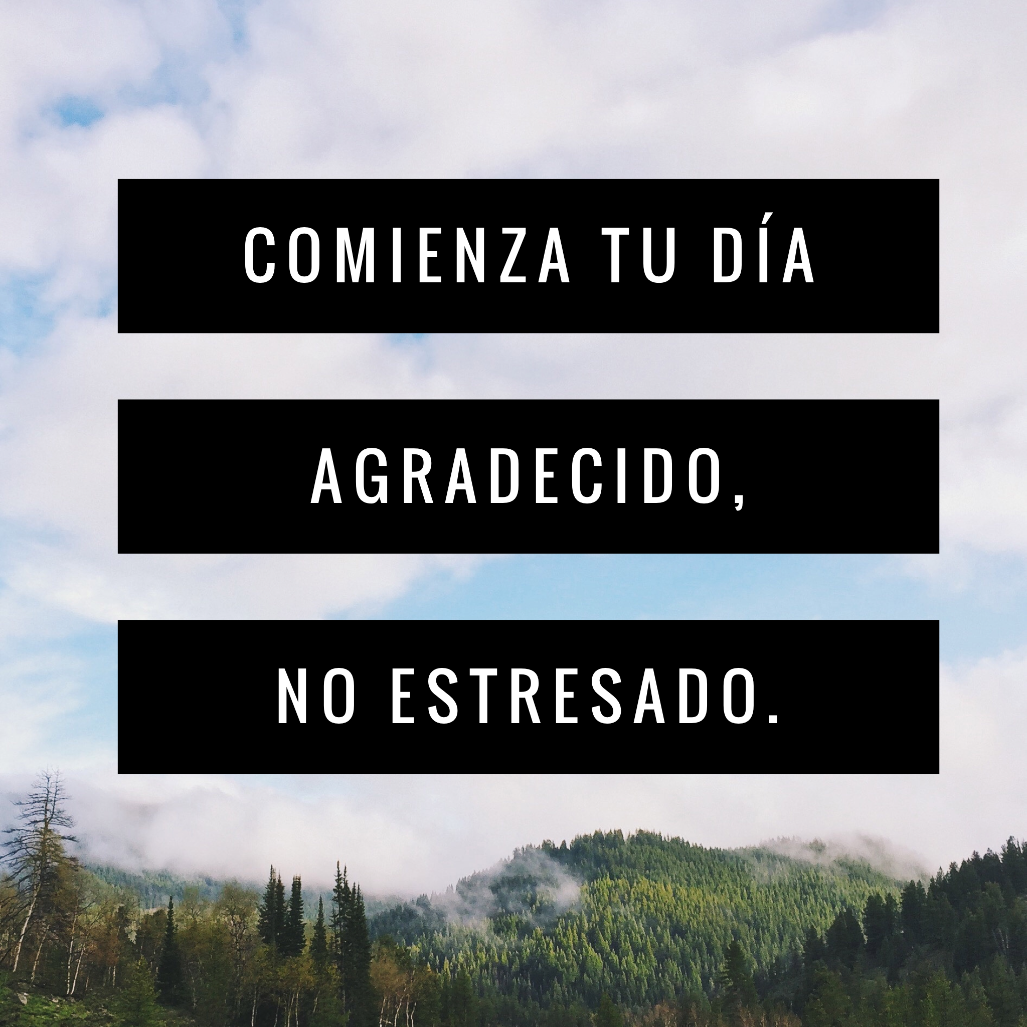 F750CAD3-4412-4631-A7A6-B49368AD1AB4.png