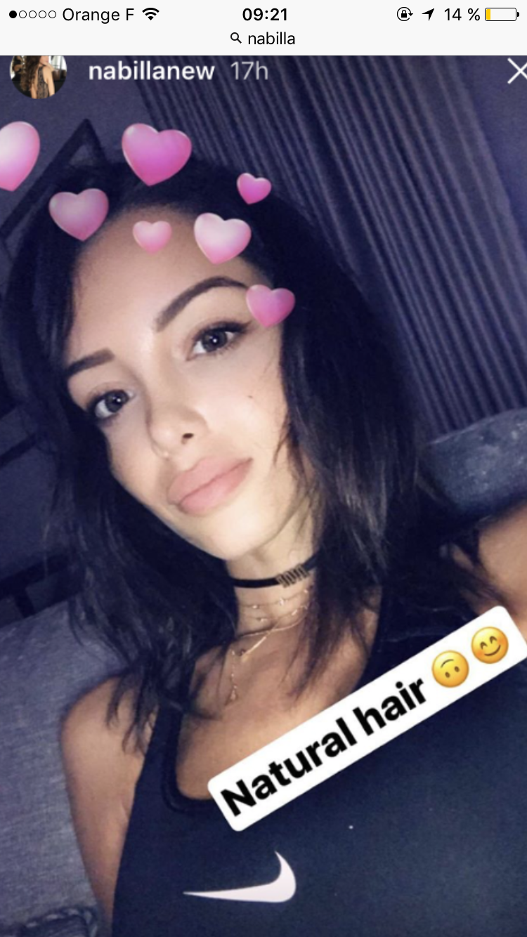IMG_3317.PNG