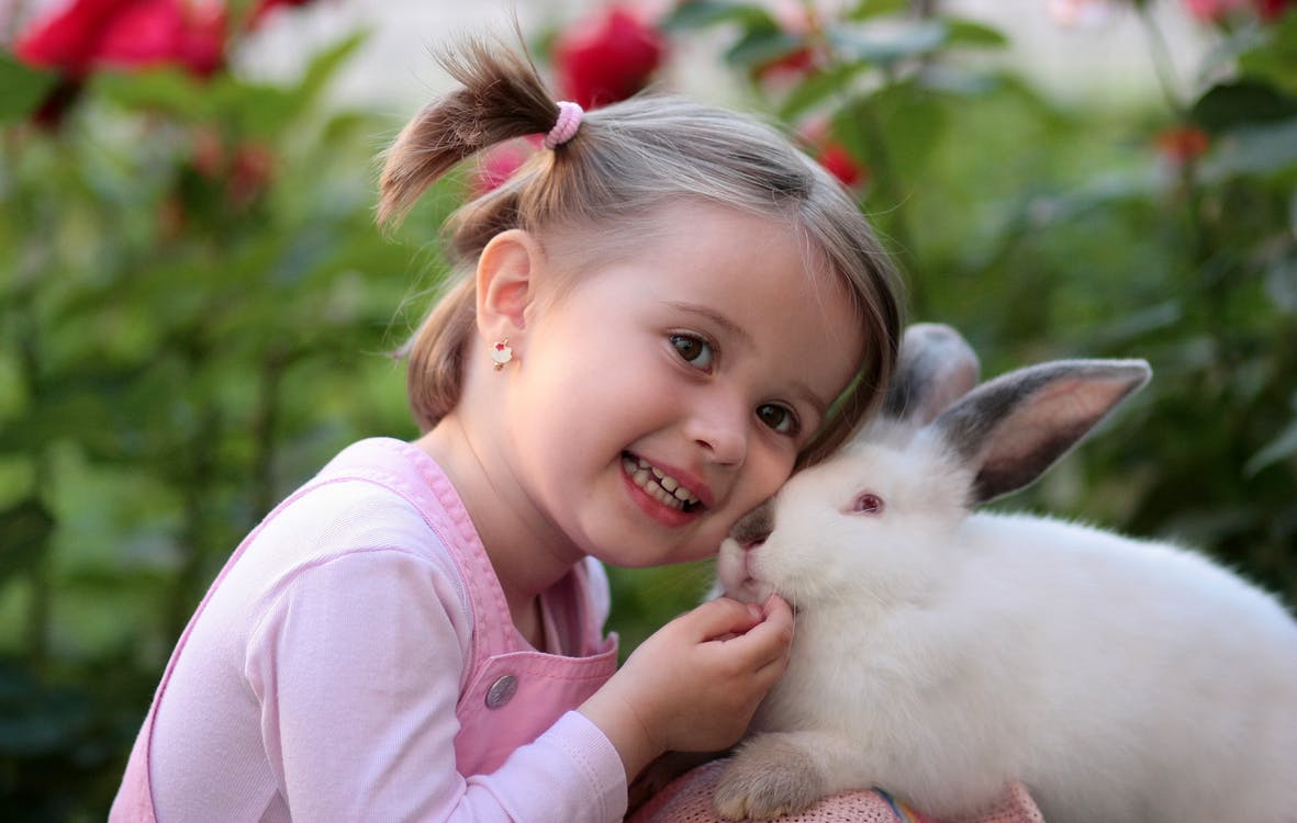 girl-holding-white-rabbit-during-daytime.jpeg