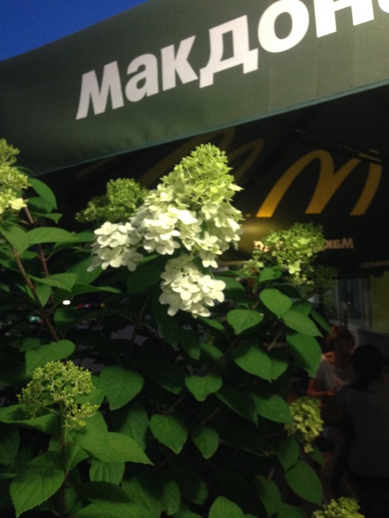 2017-07-29 21-04-38.JPG