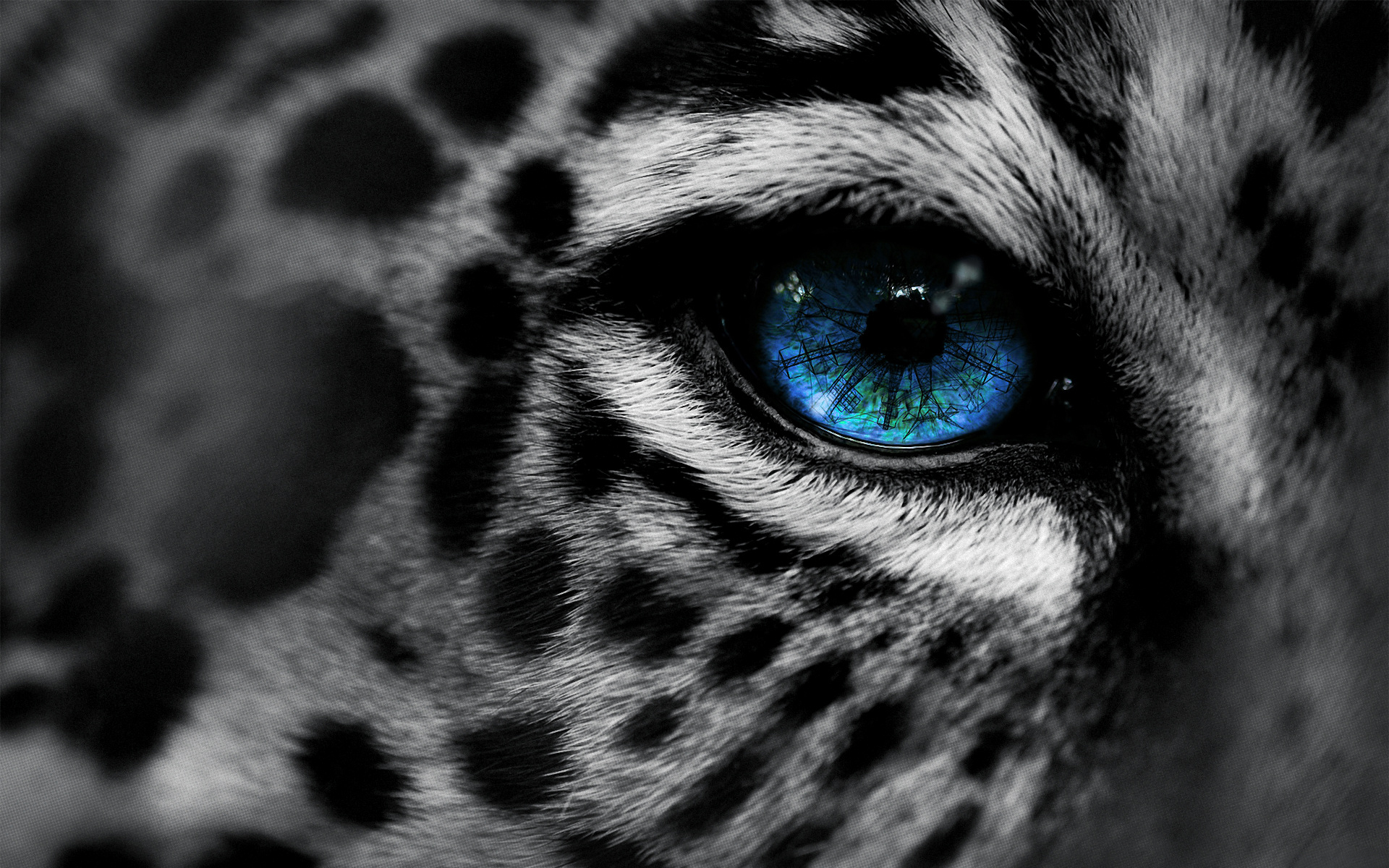 animals_cats_leopards_predator_face_eyes_spots_selective_color_manipulation_cg_digital_art_architecture_towers_power_electricity_fur_mood_emotion_sad_sorrow_blue_1920x1200.jpg