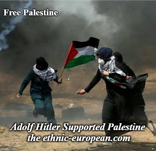Occupied Palestine 4.jpg