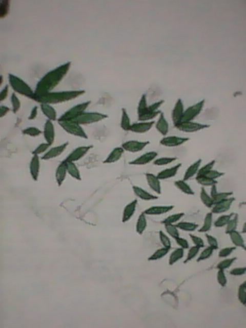 IMG0031A.jpg