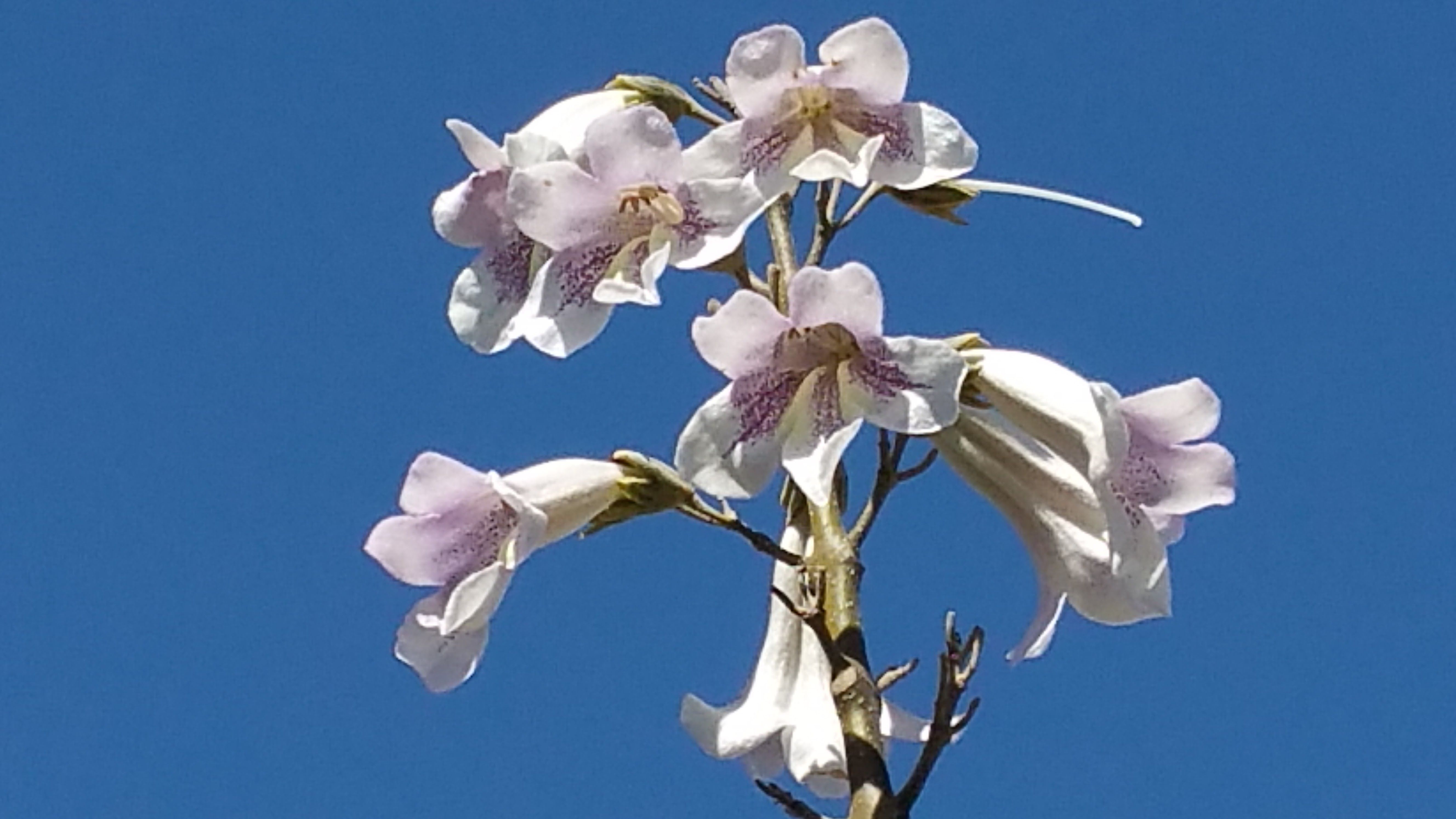 20160316_114654.jpg