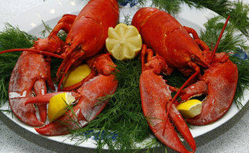 lobster-food-pixabay-650_650x400_51515901374.jpg