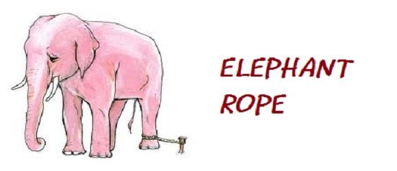 The Elephant Rope (Belief) — Steemit