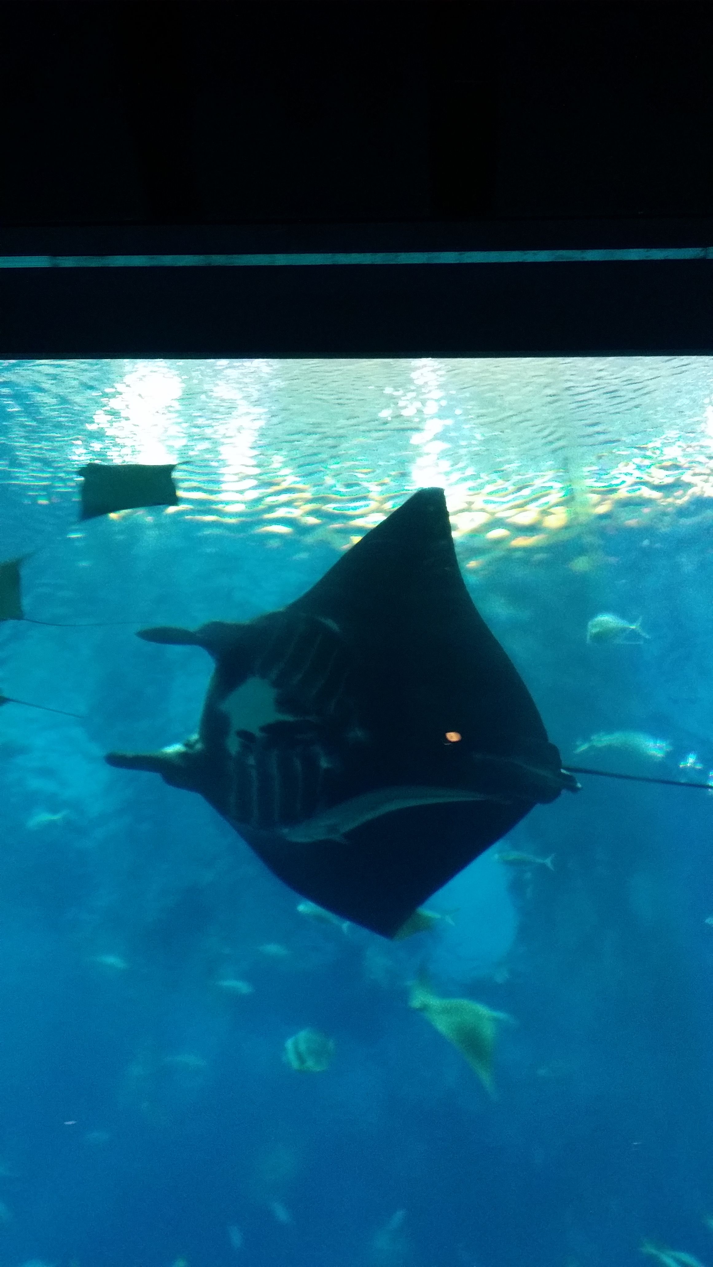 20160702_141040.jpg