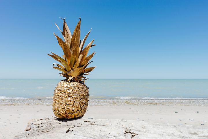 pineapple-2571434__480.jpg