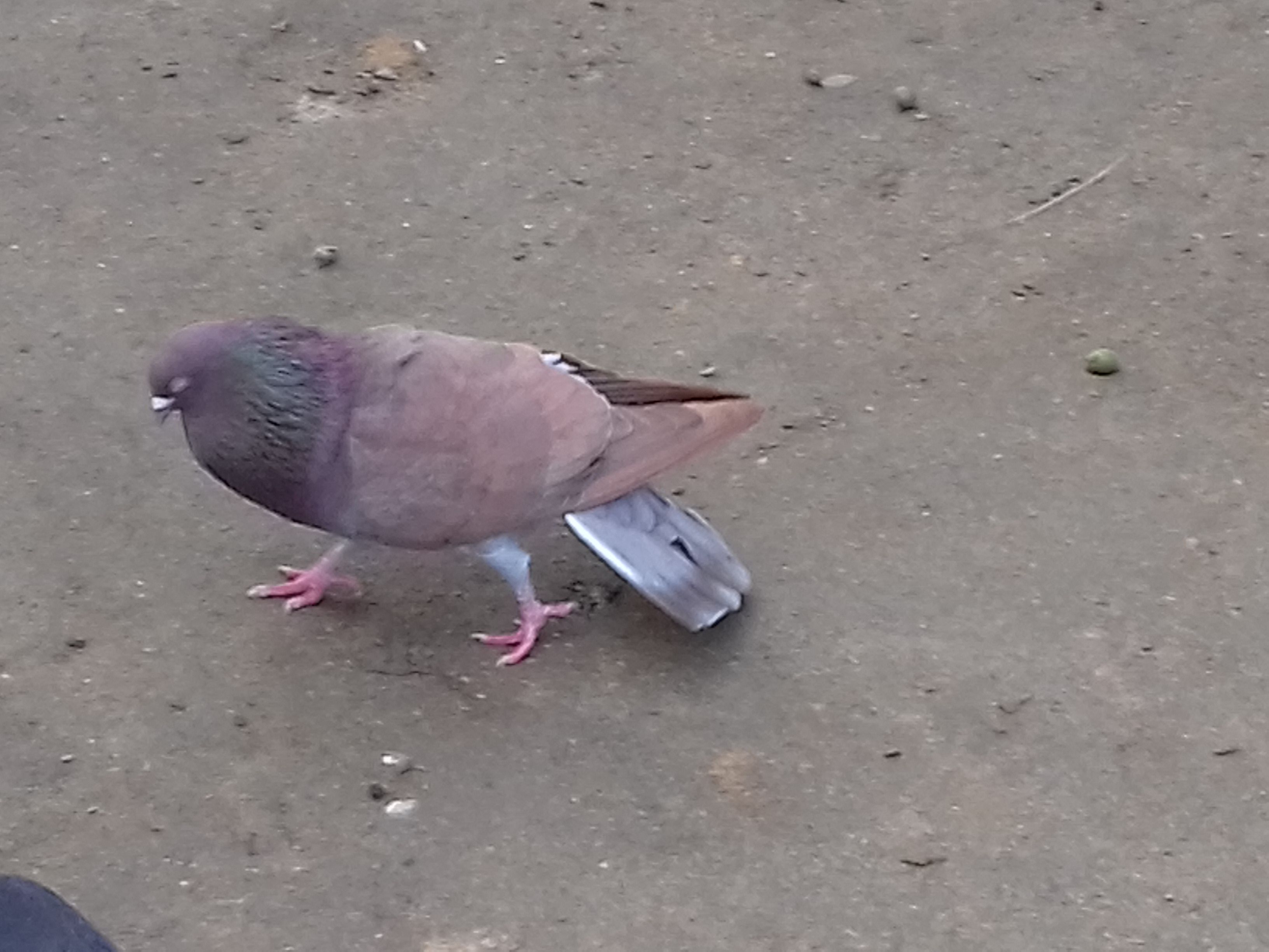 20171221_103143.jpg